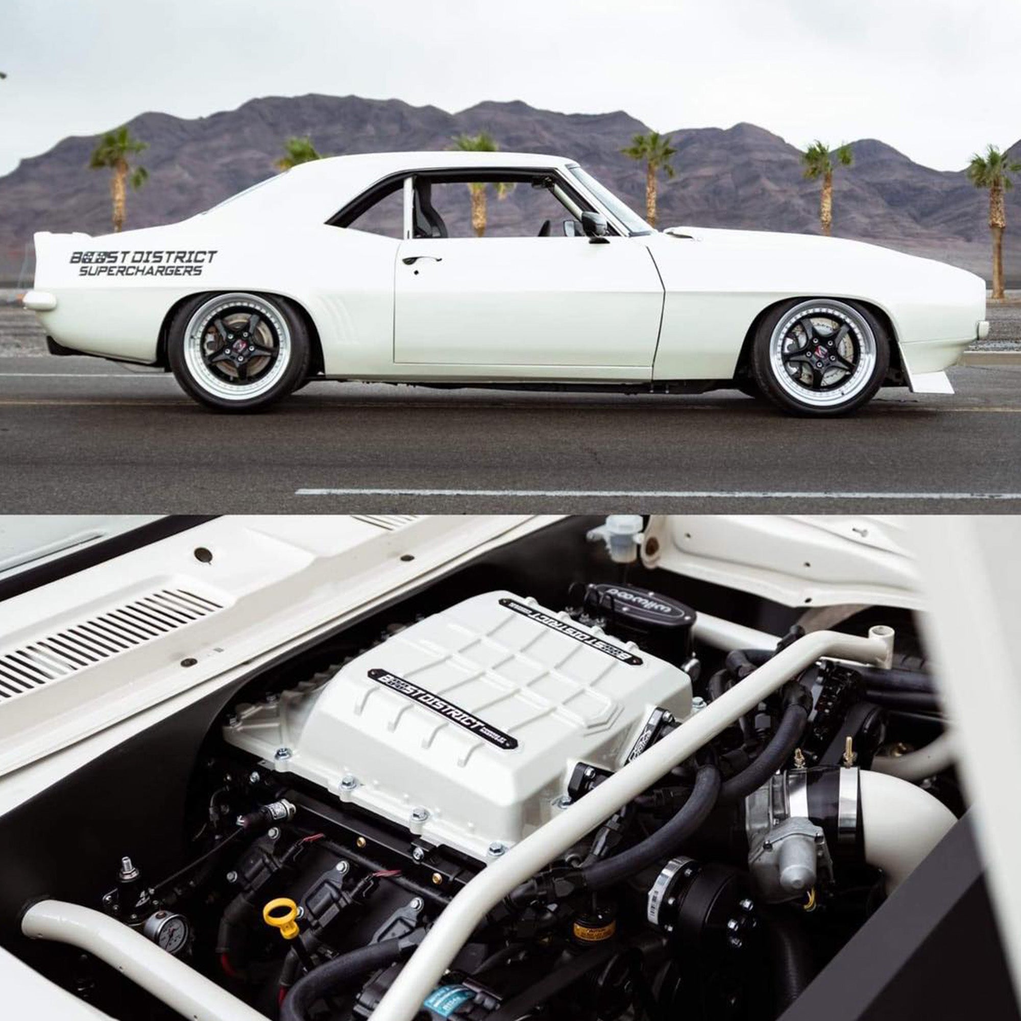 LSX 8-Rib Harmonic Damper for F-Body & GTO - 10% Overdrive